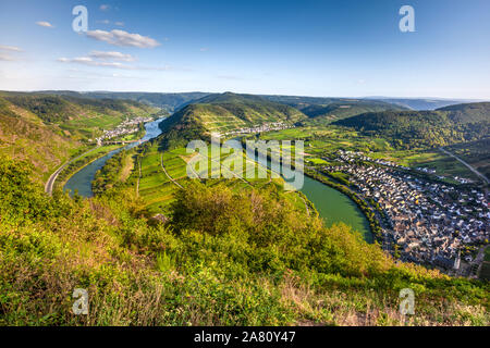 Der Mosel in der Nähe von Dorf Bremm, Deutschland bend, panorama Blick vom Berg Calmont Stockfoto