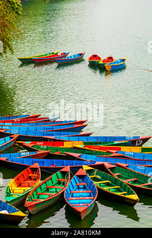 Boote mit verschiedenen Farben, die wichtigste touristische Attraktion in Phewa-see Pokhara Nepal Stockfoto