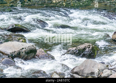 Wildwasser Stromschnellen auf den Snoqualmie River im Bundesstaat Washington. Stockfoto