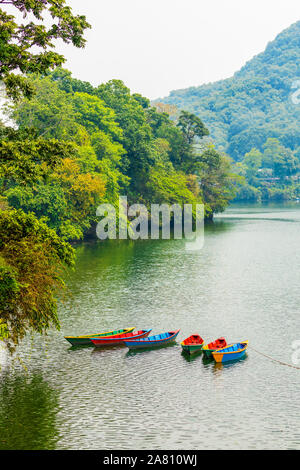 Boote mit verschiedenen Farben, die wichtigste touristische Attraktion in Phewa-see Pokhara Nepal Stockfoto