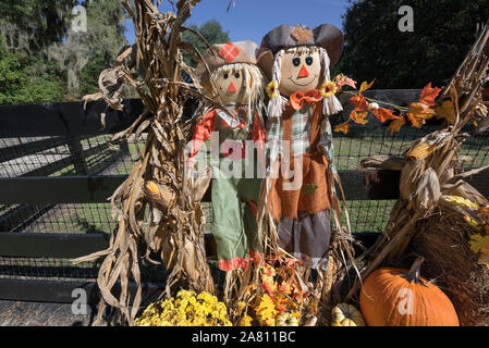 Herbsternte Anzeige an einem lokalen Farm in North Central Florida. Stockfoto