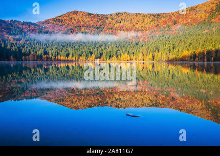 Bezirk Harghita, Rumänien. Saint Anne (Sf. Ana) See am Morgen. Stockfoto