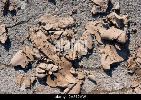 Schlamm auf Asphalt Stockfoto