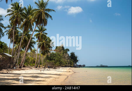 Palmengesäumten goldenen Sand Strand mit türkisblauem Meer und blauen Himmel bei Prek Svay, Koh Rong Insel, Kambodscha. Stockfoto