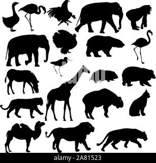 Silhouette Elefant bear eagle Trab Ente zebra auf einem weißen Hintergrund. Stock Vektor