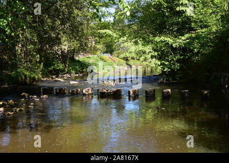 Große Kalkstein Trittsteine verwendet über einen Fluss in England zu überqueren. Stockfoto