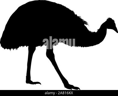 Silhouette Vogel cassowary auf einem weißen Hintergrund. Stock Vektor