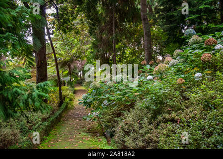 Ein landschaftlich reizvoller Pfad, umgeben von üppigem Grün und Hortensien im friedlichen Monte Palace Garden, Madeira, bietet Besuchern einen ruhigen Rückzugsort Stockfoto