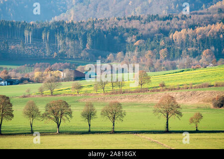 Blick auf den Solling Wald, Weser, Niedersachsen, Deutschland Stockfoto