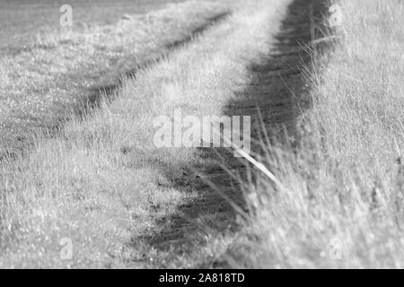 Grünland in der Nähe von Oberweser, obere Wesertal, Weserbergland, Nordrhein-Westfalen, Hessen, Deutschland Stockfoto