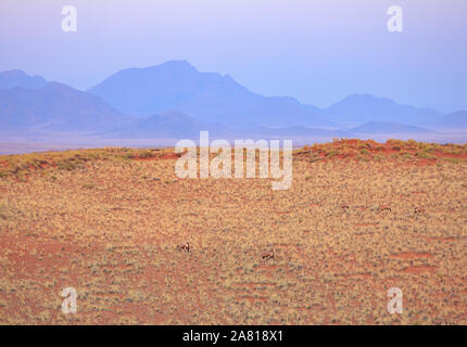 Gebirge im Golden Hour in Namibia, Afrika Stockfoto