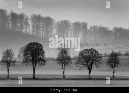 Neblige Landschaft, in der Nähe von Oberweser, Weserbergland, Nordrhein-Westfalen, Hessen, Deutschland; Stockfoto