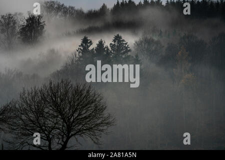 Neblige Landschaft, in der Nähe von Oberweser, Weserbergland, Nordrhein-Westfalen, Hessen, Deutschland; Stockfoto