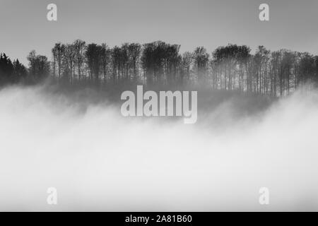 Neblige Landschaft, in der Nähe von Oberweser, Weserbergland, Nordrhein-Westfalen, Hessen, Deutschland; Stockfoto