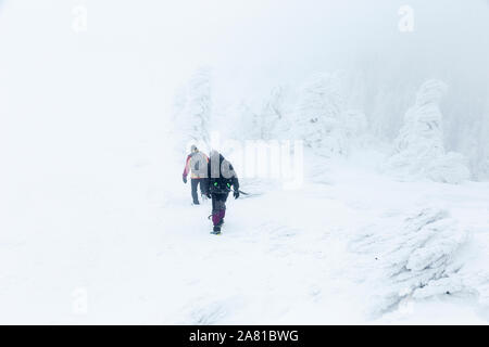 Touristen mit Rucksäcke wandern durch verschneite Alm im Blizzard. Stockfoto