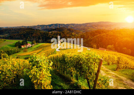 Berühmte herzförmige Wein Straße im Herbst, Ansicht von Spicnik in der Nähe von Maribor in Slowenien. Stockfoto