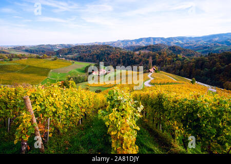 Berühmte herzförmige Wein Straße im Herbst, Ansicht von Spicnik in der Nähe von Maribor in Slowenien. Stockfoto