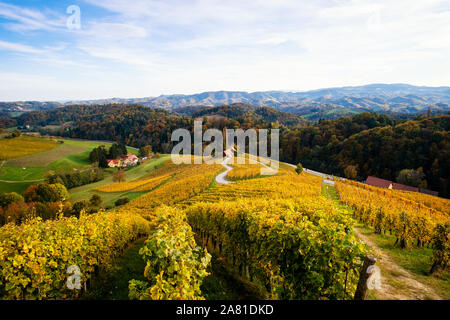 Berühmte herzförmige Wein Straße im Herbst, Ansicht von Spicnik in der Nähe von Maribor in Slowenien. Stockfoto
