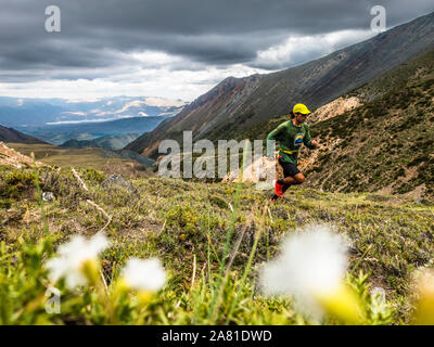 Männliche Trail Runner in den Anden in der Nähe von Potrerillos, Argentinien. Stockfoto