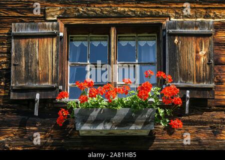 Fenster mit Geranien auf einem alten Bauernhof in der historischen Berglandwirtschaft Dorf Gerstruben, Dietersbachtal, in der Nähe von Oberstdorf, Allgäuer Alpen Stockfoto