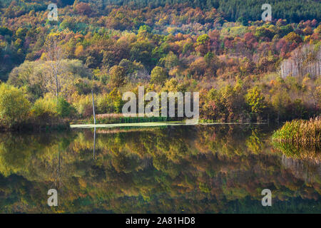 Blick auf einen bunten Herbst Wald am sonnigen Tag in den ruhigen Wassern des Flusses wider, der Schlucht der Iskar Fluss, Bulgarien. Stockfoto
