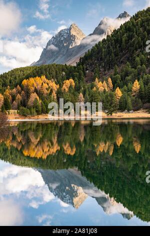 Berge mit Herbst Wald im See Palpuogna, Lai da Palpuogna, Albula, Kanton Graubünden, Schweiz wider Stockfoto