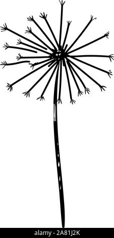Löwenzahn Skizze, Illustration, Vektor auf weißem Hintergrund. Stock Vektor