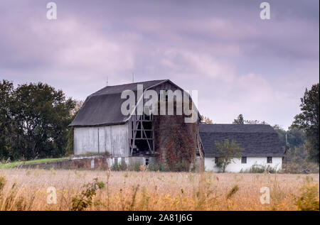 Eine verlassene Scheune steht noch in einem ländlichen Gebiet, in Michigan, USA Stockfoto