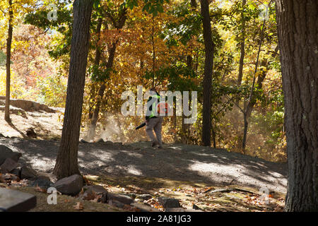 Arbeitnehmer schlag Blätter Wanderwege am State Park in South Hadley, Massachusetts. Stockfoto