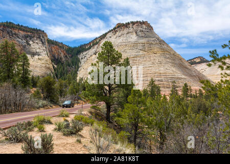 Checkerboard Mesa im Zion National Park, USA Stockfoto