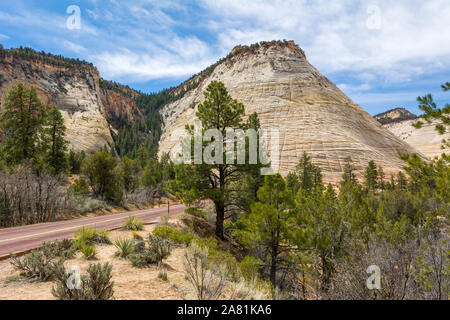 Checkerboard Mesa im Zion National Park, USA Stockfoto