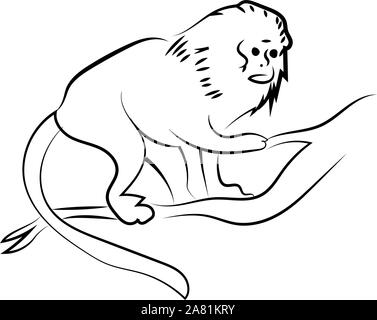 Monkey Zeichnung, Illustration, Vektor auf weißem Hintergrund. Stock Vektor