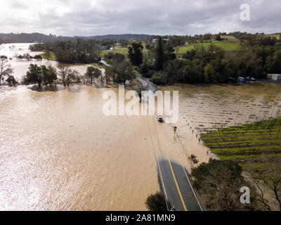 Überschwemmung neben der Russischen Fluss auf Westside Road. Healdsburg, Sonoma County, CA. 27. Februar 2019 Stockfoto