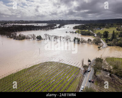 Überschwemmung neben der Russischen Fluss auf Westside Road. Healdsburg, Sonoma County, CA. 27. Februar 2019 Stockfoto