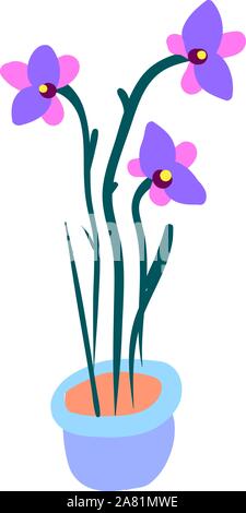 In Pot, Illustration Orchidee, Vektor auf weißem Hintergrund. Stock Vektor