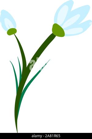 Snow drop Flachbild, Illustration, Vektor auf weißem Hintergrund. Stock Vektor