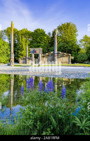 Lupinen, Museum für Anthropologie, MOA, UBC, Vancouver, British Columbia, Kanada Stockfoto