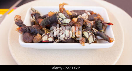 Schwanenhals Seepocken platter auf portugiesischen Meeresfrüchte oder marisqueira. Overhead shot Stockfoto