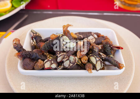 Schwanenhals Seepocken platter auf portugiesischen Meeresfrüchte oder marisqueira. Overhead shot Stockfoto