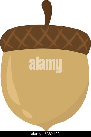 Acorn, Illustration, Vektor auf weißem Hintergrund. Stock Vektor