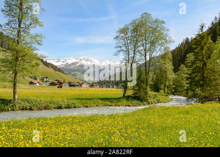 Zu Tuxertal mit Tux Fluss und Zillertaler Alpen in der Nähe von Dorf Juns und Hintertuxer Gletscher im Sommer, Tirol Österreich Europa Stockfoto