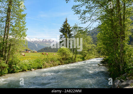 Zu Tuxertal mit Tux Fluss und Zillertaler Alpen in der Nähe von Dorf Juns und Hintertuxer Gletscher im Sommer, Tirol Österreich Europa Stockfoto