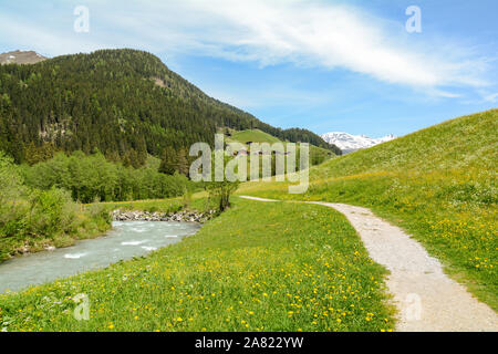 Zu Tuxertal mit Tux Fluss und Zillertaler Alpen in der Nähe von Dorf Juns und Hintertuxer Gletscher im Sommer, Tirol Österreich Europa Stockfoto