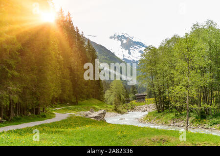 Zu Tuxertal mit Tux Fluss und Zillertaler Alpen in der Nähe von Dorf Juns und Hintertuxer Gletscher im Sommer, Tirol Österreich Europa Stockfoto