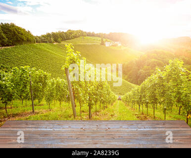 Weinberge an der South Steirische Weinstraße im Herbst, Österreich Europa Stockfoto