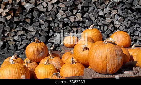 Nahaufnahme der Herbst Kürbisse auf einem Anhänger in Vermont. Stockfoto