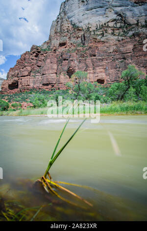 Lange Belichtung des Flusses in der Zion National Park, Utah, USA Stockfoto