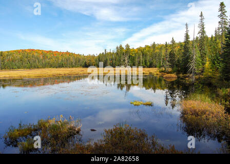 Indian Summer an einem See in Algonquin Provincial Park in der Nähe von Toronto im Herbst, Kanada Stockfoto