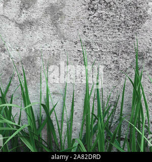 Dunkel grau groben Stein Betonwand Textur, grünen Rasen, horizontale Makro Nahaufnahme alt im Alter von verwitterten detaillierte natürliche grau rustikal strukturiert Grunge Stockfoto