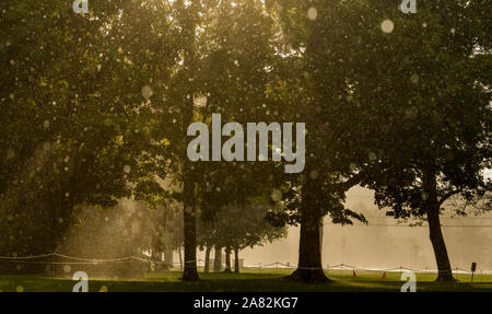 NEW YORK USA Stockfoto